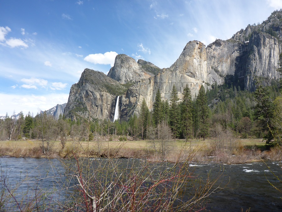 Yosemite National Park 2019